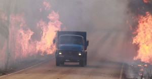 Há três anos, Minas está entre os maiores índices de incêndios no país. Foto: Divulgação