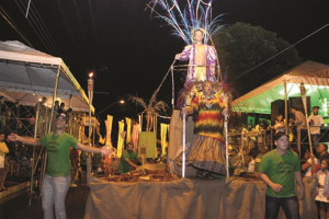 Escola de samba vencedora do Carnaval 2014. Foto: Enivaldo Silva