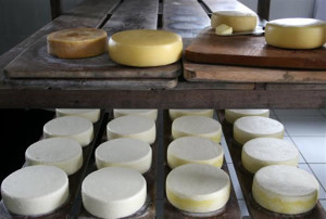 O produtor agora tem reconhecimento pela produção tradicional do queijo.  Foto: Divulgação 