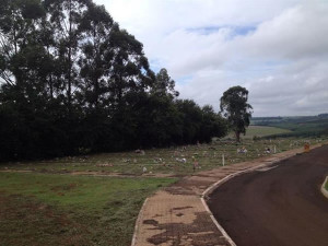 O espaço ganhou uma nova aparência  com serviços de limpeza. Foto: Divulgação