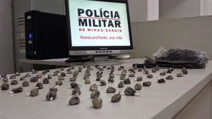 As apreensões de drogas aconteceram graças ao trabalho efetivo do 53º BPM. Foto: Divulgação