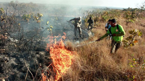Militares se preocupam com os focos de incêndio em lotes e terrenos, uma vez que acabam se alastrando. Foto: Divulgação