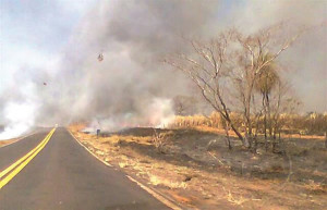 Queimada controlada atingiu dois hectares de vegetação as margens da MG-223. Foto: Divulgação