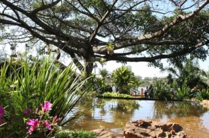 Bate-papo e coleta de lixo são algumas das atividades do evento. Foto: Daniel Nunes/SECOM/PMU