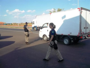 A campanha se iniciou ontem à tarde, no km 42 da BR-050, em Araguari. Foto: Gazeta do Triângulo