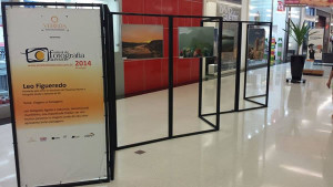 Mostras, , que tiveram início no mês de agosto, serão encerradas hoje à noite. Foto: Divulgação 