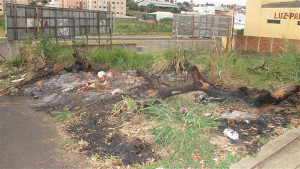 Conforme apurado pela reportagem, diversos terrenos baldios sem as devidas manutenções estão espalhados pela cidade. Foto: Gazeta do Triângulo