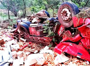 Caminhão capotou e saiu da pistaFoto: Divulgação