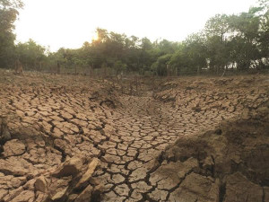 As nascentes de água foram diminuindo até secar. Foto: Reprodução/Facebook