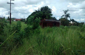 A falta de limpeza do local tem incomodado os moradores.Foto: Gazeta do Triângulo