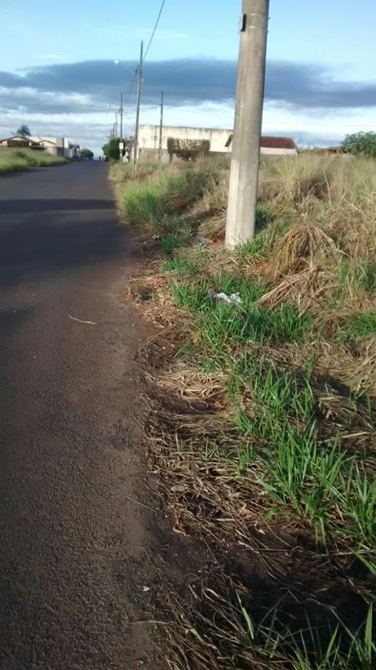 O mato alto vem tomando conta das ruas, bem como, o lixo que é depositado nos terrenos 
