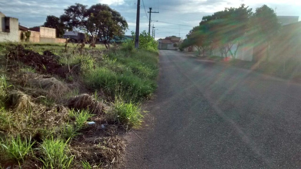 A falta de manutenção nos terrenos particulares causa transtornos aos moradores do bairro Flamboyant 