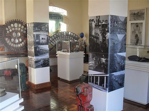 Museu “Dr. Calil Porto” conta com exposição de animais empalhados representando a fauna regional