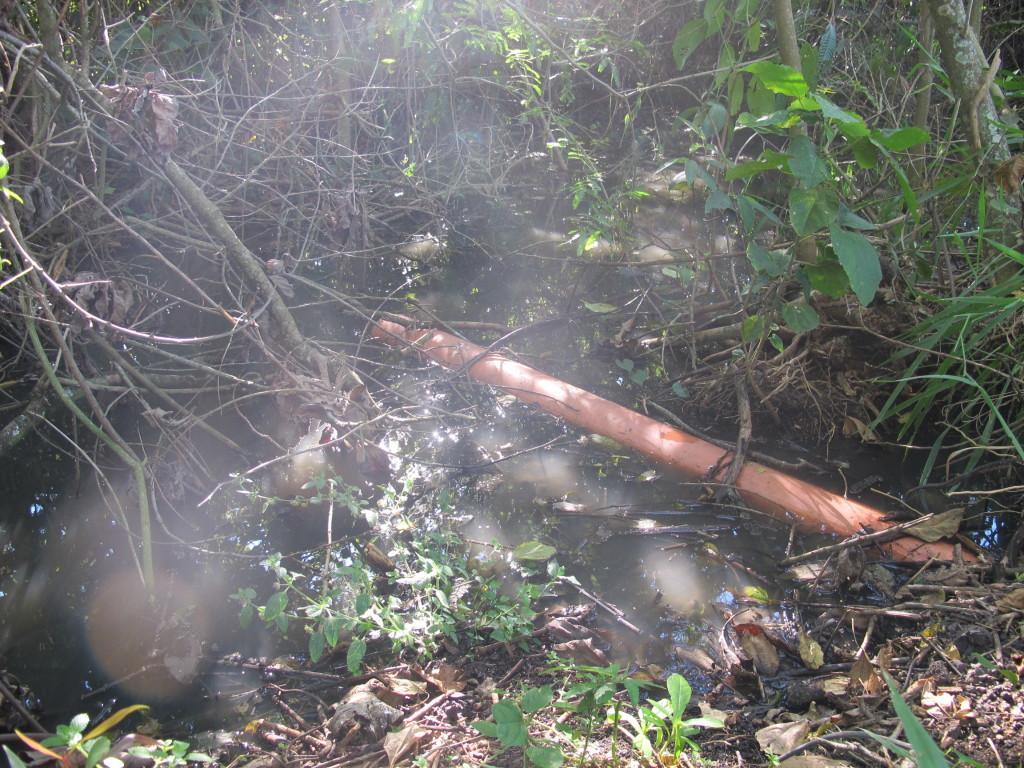 Laudo identificou índice alto de coliformes fecais nas águas tratadas 
