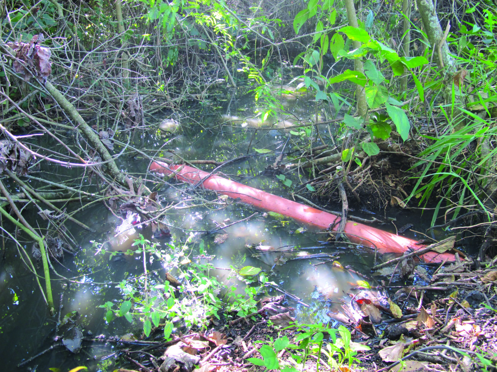 Parte da equipe de ambientalistas, preocupados com o funcionamento da ETE