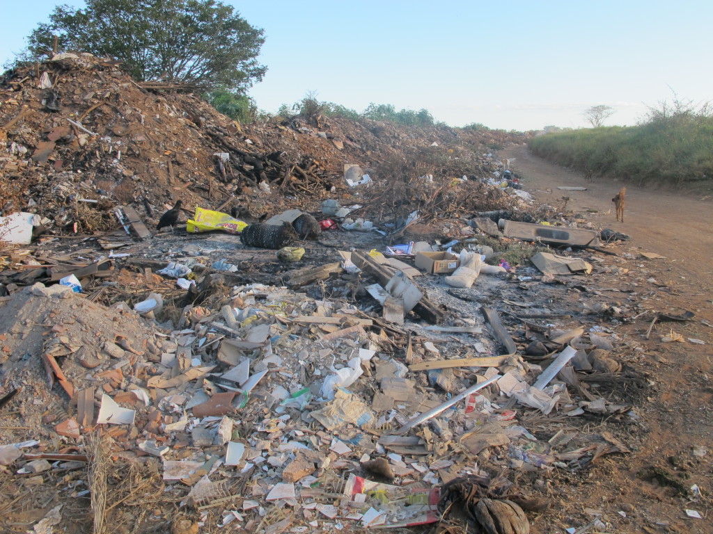 Quantidade de lixo na saída para o Capim Branco tem resultado em diversos transtornos, principalmente em relação à saúde dos moradores