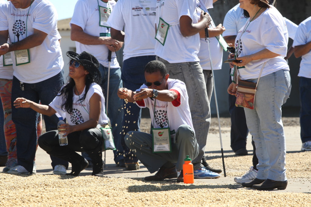 Participantes conheceram sobre a história do café na região, visitaram o cafezal e acompanharam a colheita de grãos