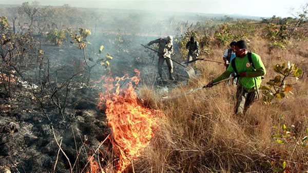Maior número de incêndios são registrados durante os meses de julho à setembro, devido à estiagem