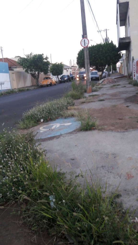 Alguns meios-fios estão tomados pelo mato