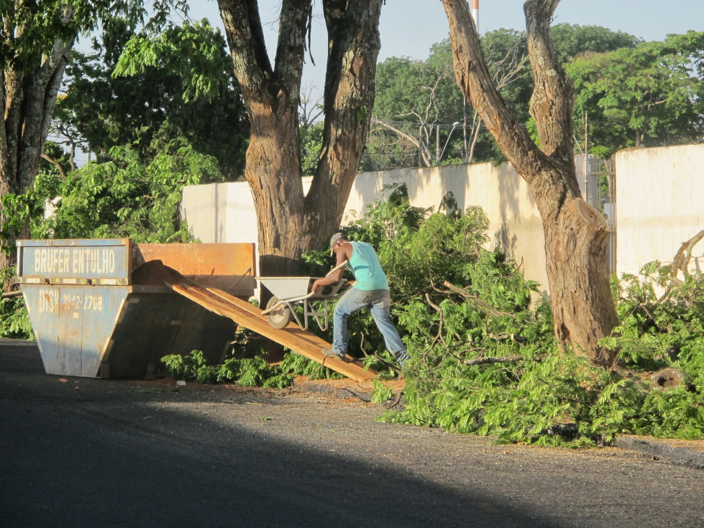 Poda de árvores no entorno do cemitério Bom Jesus tem sido realizada