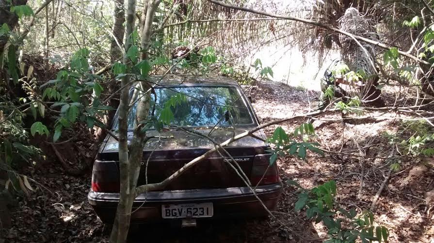 Veículo estava escondido entre folhas de palmeiras 