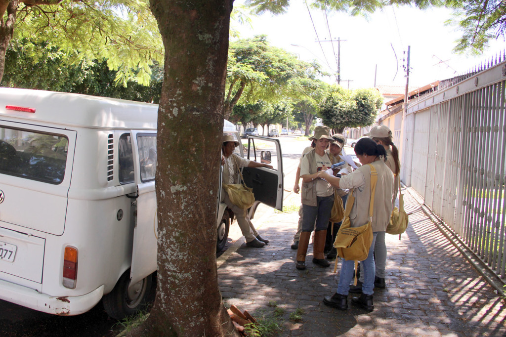 Entre novembro e maio, os casos de Dengue comecem a aparecer de forma gradativa