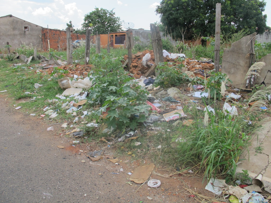 Lixo e mato servem como criadouros para insetos e animais peçonhentos, relatam vizinhos