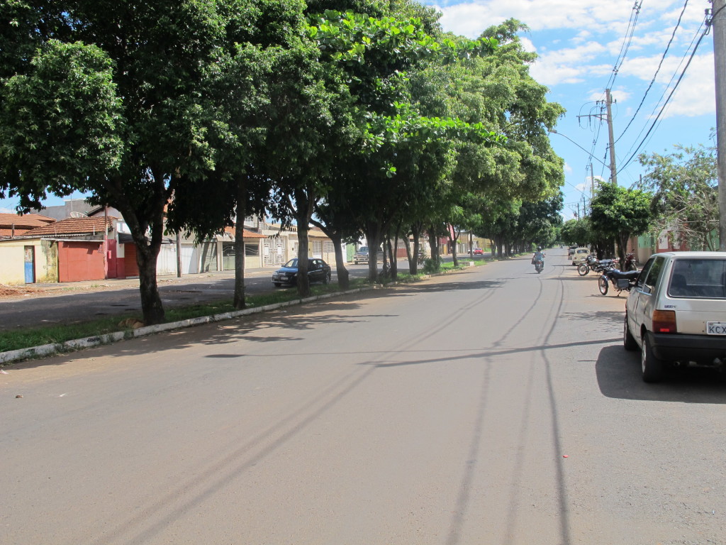 Folhas de árvores e falta de reparos em canaletas são os principais motivos do transtorno durante as chuvas na avenida Porto Alegre