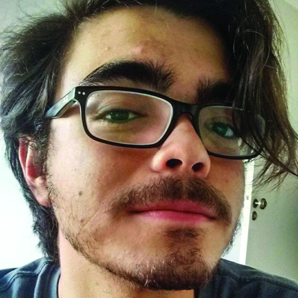 “Sou contra, caso este serviço não venha acompanhado de uma ação social imediata, uma vez que os transportes de tração animal estão vinculados em sua maioria a pessoas com baixa renda e sem outra perspectiva de emprego, a exemplo de catadores de recicláveis.”  Otto Leone Corrêa - Estudante 