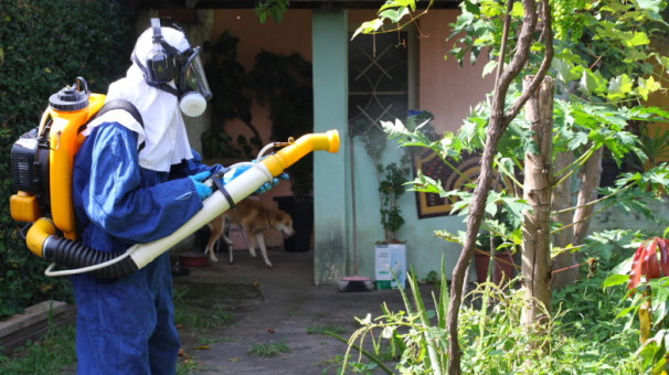 Em plena época de combate, governo federal não tem previsão para fornecimento de inseticidas 