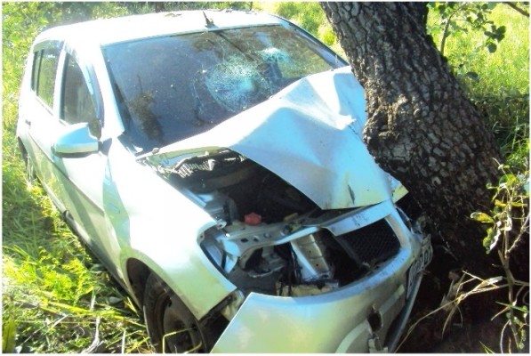 Automóvel chocou violentamente contra árvore