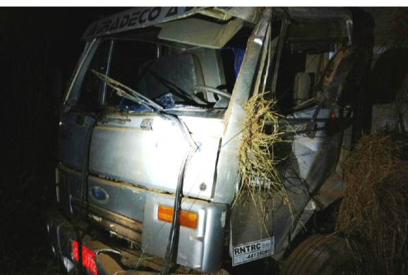 Veículo se chocou contra os postes de uma cerca às margens da rodovia