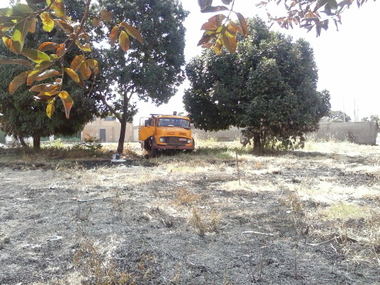 Trabalhos de limpeza foram iniciados no lote