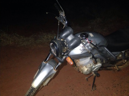 Motocicleta atingiu animal na 748