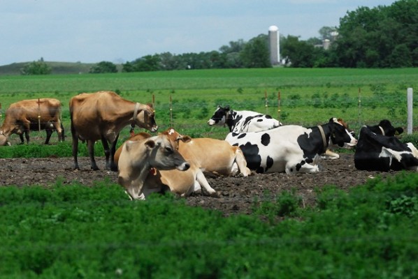 Setor de agropecuária apresentou o melhor resultado de abril, com 56 vagas positivas