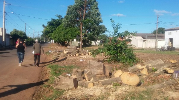 Moradores se indignaram com o corte de árvore no bairro Independência