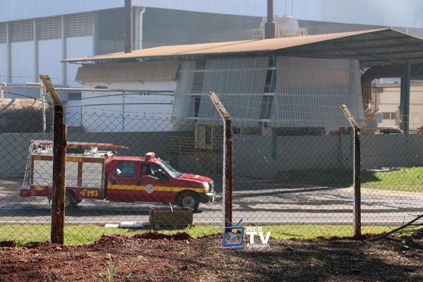 Corpo de Bombeiros de Araguari e Uberlândia montaram mega frente de trabalho para conter o fogo