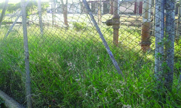 A falta de manutenção e o excesso de lixo na praça Antônio Marcelino Dias, no bairro Paraíso têm gerado revolta nos moradores daquela localidade; eles estão indignados com o que chamam de descaso quanto à manutenção do espaço público. 