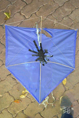 Aparelho foi apreendido juntamente com a pipa