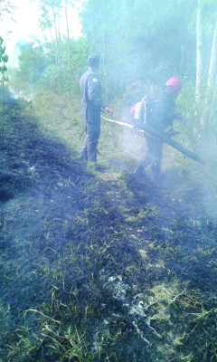 Incêndio queimou aproximadamente 12 hectares e atingiu reserva
