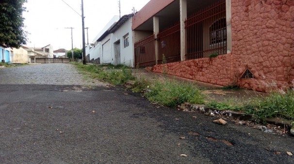 Prefeitura deu a ordem de serviço para começar a poda dos canteiros