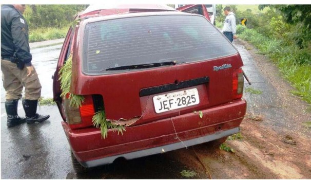 Veículo saiu de Araguari com destino a Monte Carmelo ** Divulgação 