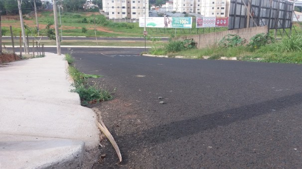 Trabalhos de limpeza são paralisadas no município como forma de protesto