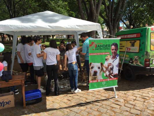 Cães e gatos do Canil estavam entre os animais prontos para serem levados para casa