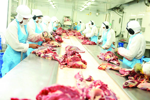 Empresa Mataboi foi adquirida pelo grupo JBJ Investimentos em dezembro de 2014