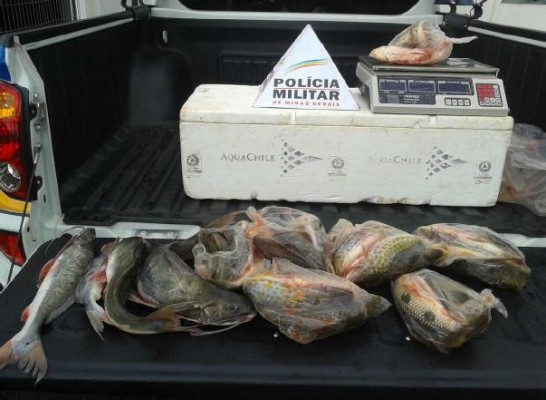 10 quilos de pescados foram apreendidos durante fiscalização da PM Foto 4º Pelotão de Meio Ambiente