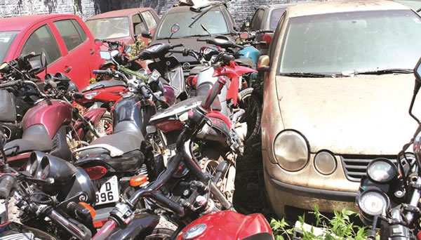 Os lotes estarão disponíveis à visitação no pátio, entre os dias 19 e 20