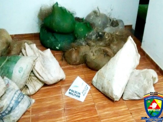 Material apreendido será encaminhado ao Instituto Estadual de Florestas