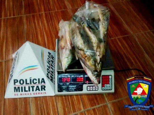 O pescado apreendido foi examinado pelos agentes do Serviço de Inspeção Municipal