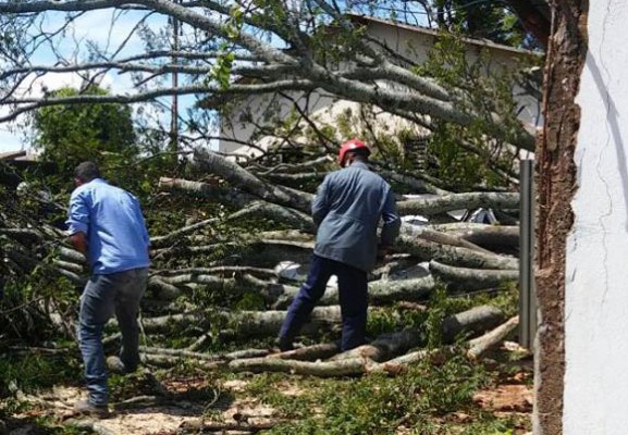 Alagamentos, queda de árvores e eletrodomésticos queimados foram alguns dos prejuízos causados pela forte chuva